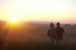 Poczęstunek, prezenty dla widzów i specjalna kolacja, czyli Films for Food [WIDEO]