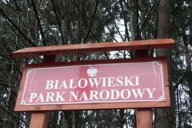 Dyrektor Białowieskiego Parku Narodowego odwołana 