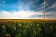 Interesujesz się odnawialnymi źródłami energii? Weź udział w debacie lub zobacz ją online