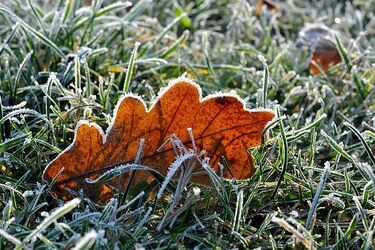 Termometry wskażą maksymalnie 1ºC