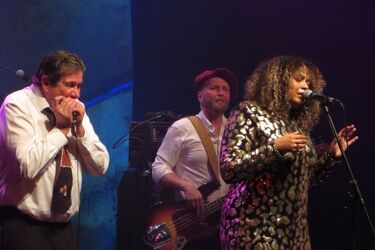 Wypełniona sala, czysta energia. Trwa Jesień z Bluesem [WIDEO]