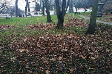 W ciągu dnia być może się rozpogodzi