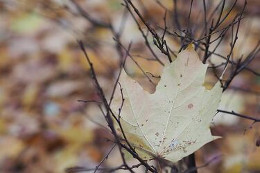 Nawet -2ºC w ciągu dnia