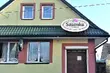 Coraz więcej Sasanek na Podlasiu, Warmii i Mazurach oraz Mazowszu