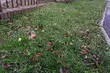 Przed nami pochmurna środa