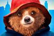 "Paddington 2". Przedpremierowe pokazy filmu [WIDEO]
