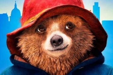 "Paddington 2". Przedpremierowe pokazy filmu [WIDEO]