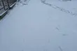 Początek tygodnia ze śniegiem 