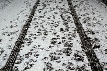 Śnieg sparaliżował miasto. Radni PiS chcą wiedzieć, co zrobił prezydent