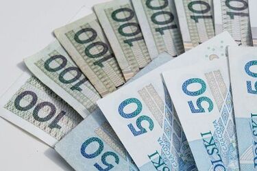W Podlaskiem gapowicze zadłużyli się na prawie milion złotych