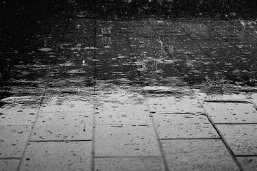 Termometry wskażą 5ºC