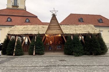 Szopka na Rynku Kościuszki. Są też żywe zwierzęta