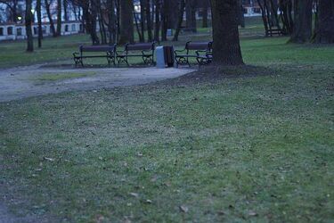 Termometry wskażą 7ºC