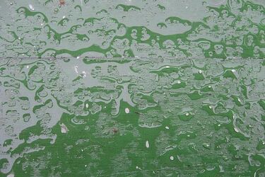 Synoptycy zapowiadają opady deszczu ze śniegiem