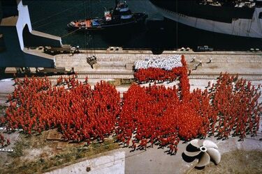 Neony, Solidarność i dziura w ziemi. Nowe prace w Arsenale
