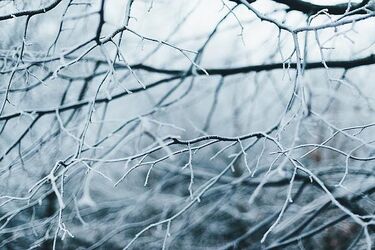 Termometry wskażą 0ºC