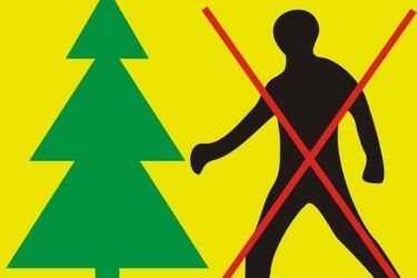 Puszcza Białowieska. Obowiązuje zakaz wstępu do lasu