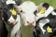 Rekordowy rok producenta z Podlasia. Będzie zatrudniał nowych pracowników