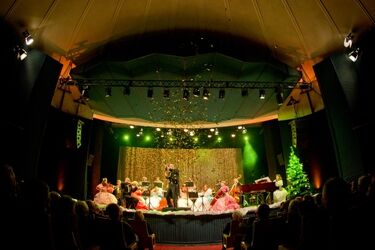 Koncert noworoczny w stylu wiedeńskim. Możecie wygrać bilety [KONKURS]