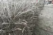 Temperatury są coraz niższe, więc sytuacja bezdomnych nie jest łatwa. Można pomóc