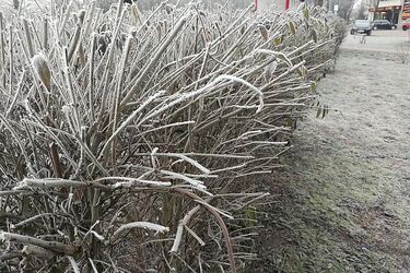 Temperatury są coraz niższe, więc sytuacja bezdomnych nie jest łatwa. Można pomóc