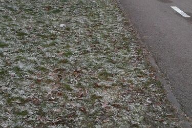 W poniedziałek termometry wskażą -13ºC