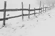 W ciągu dnia śnieg, a wieczorem - silny wiatr