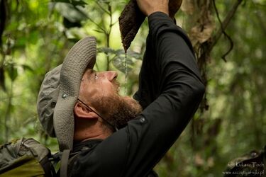 Kamerun bez tajemnic. W poszukiwaniu afrykańskiej przygody