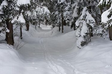 Wiatr będzie dziś umiarkowany