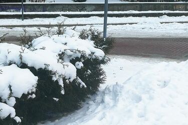 Czekają nas opady deszczu ze śniegiem