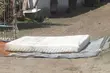 ASF ma się w Podlaskiem dobrze. NIK wyjaśnia dlaczego