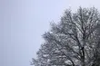 W piątek temperatura wyniesie maksymalnie 2ºC