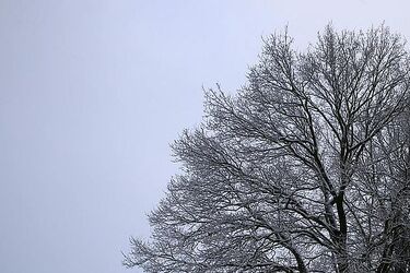 W piątek temperatura wyniesie maksymalnie 2ºC