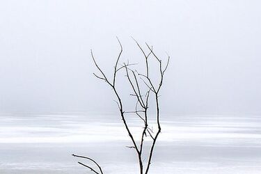 W piątek niebo będzie całkowicie zachmurzone