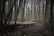 Ciśnienie atmosferyczne wzrośnie