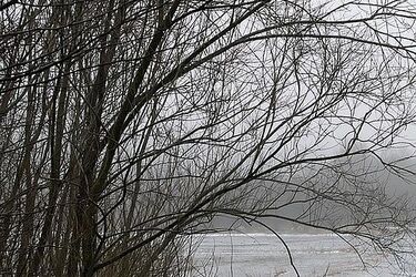 Czeka nas wietrzny dzień