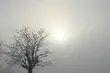 Szara środa na Podlasiu