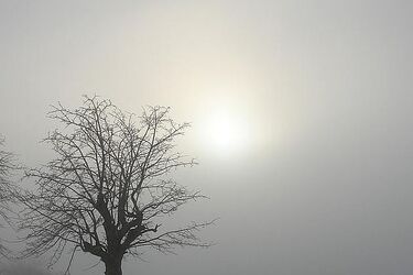 Szara środa na Podlasiu