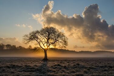 Czwartek z przejaśnieniami. Noc będzie mroźna