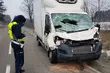 Kolizje z żubrami. Uwaga na dzikie zwierzęta
