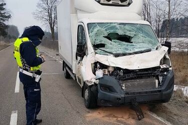 Kolizje z żubrami. Uwaga na dzikie zwierzęta