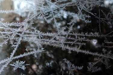 Pogoda na weekend. Będzie mroźno