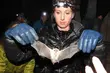 Podlaska gmina nie boi się komarów. Chce zadbać o tych, którym to zawdzięcza