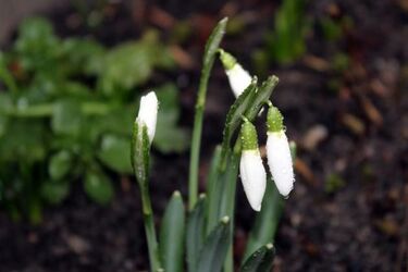 Pogoda na weekend. Będzie cieplej, ale bez rewelacji