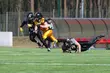 Druga porażka Lowlanders Białystok [ZDJĘCIA]