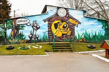 Miasto chce wybudować nowe schronisko. Znamy lokalizację