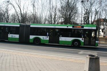 Święta – jak będą kursowały autobusy komunikacji miejskiej w ciągu najbliższych dni