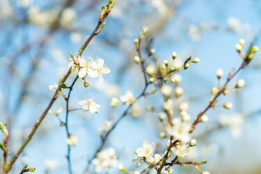 Wiosenna pogoda - w końcu