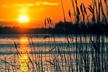 Z jeziora wyłowiono zwłoki. Prawdopodobnie to ciało zaginionego nastolatka