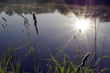 Ciało pływało w Biebrzy. Dostrzegli je kajakarze